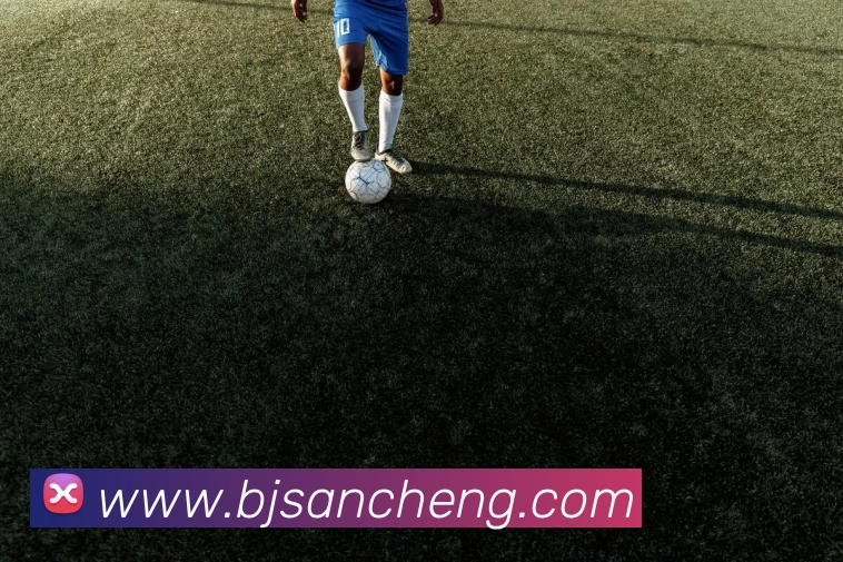 爱游戏官网APP 封面图